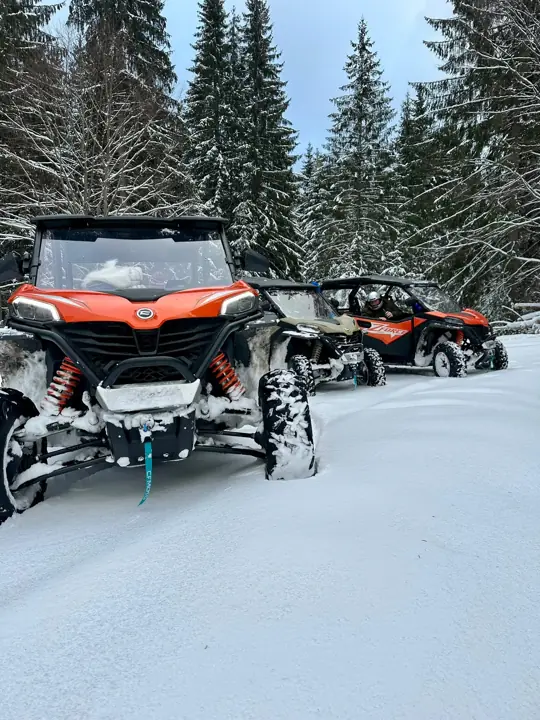 Coloană buggy pe traseu