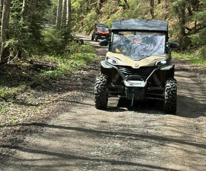 Buggy bej pe traseu forestier
